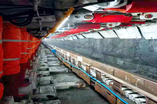 1696403078355369.jpg 2.jpg