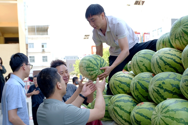 1788231366878303.jpg 配图1_副本.jpg